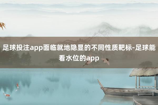 足球投注app面臨就地隱顯的不同性質(zhì)靶標(biāo)-足球能看水位的app