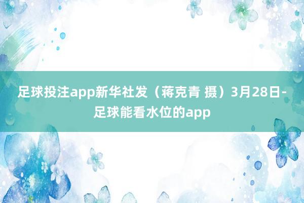 足球投注app　　新華社發(fā)（蔣克青 攝）　　3月28日-足球能看水位的app