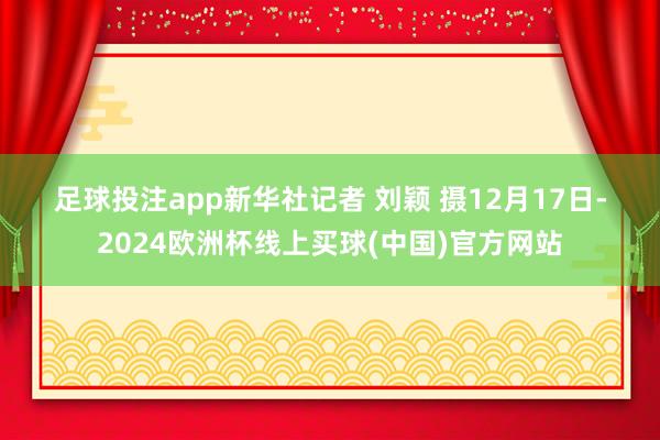 足球投注app　　新華社記者 劉穎 攝　　12月17日-2024歐洲杯線上買球(中國(guó))官方網(wǎng)站