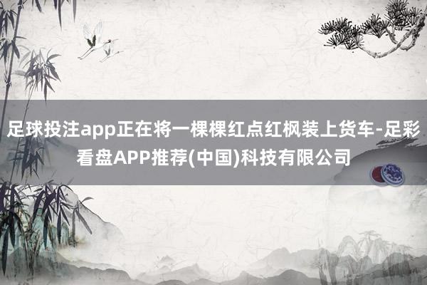 足球投注app正在將一棵棵紅點(diǎn)紅楓裝上貨車-足彩看盤APP推薦(中國)科技有限公司