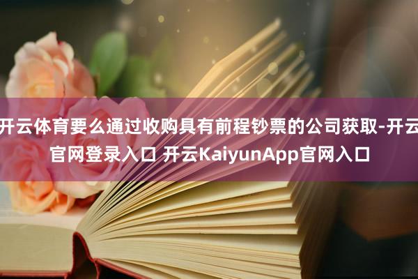 開云體育要么通過收購具有前程鈔票的公司獲取-開云官網登錄入口 開云KaiyunApp官網入口
