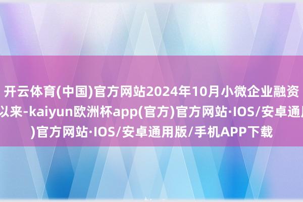 開云體育(中國)官方網(wǎng)站2024年10月小微企業(yè)融資配合責任